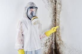 Best Air Quality Testing for Mold Spores  in Wanaque, NJ